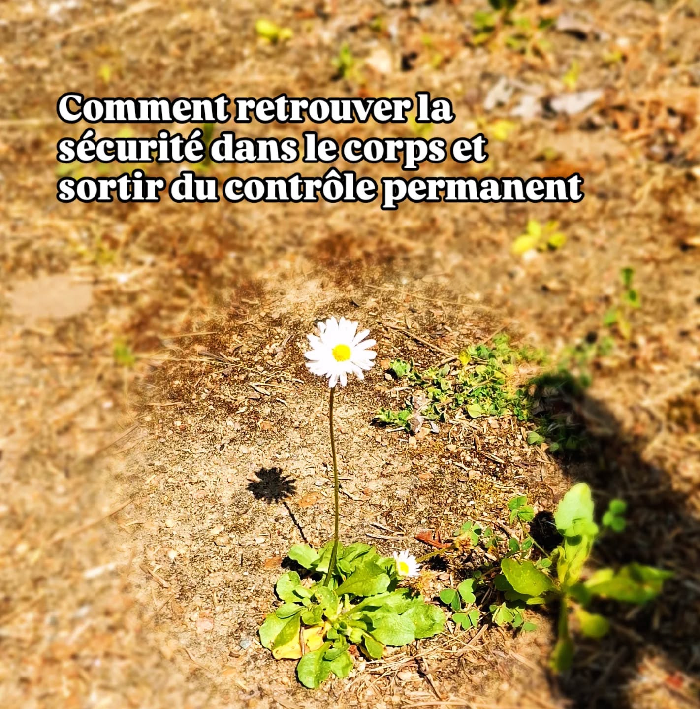 securite corps controle securite corps controle